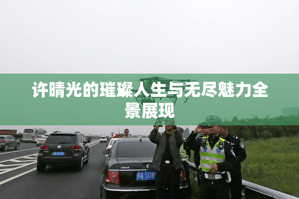 许晴光的璀璨人生与无尽魅力全景展现