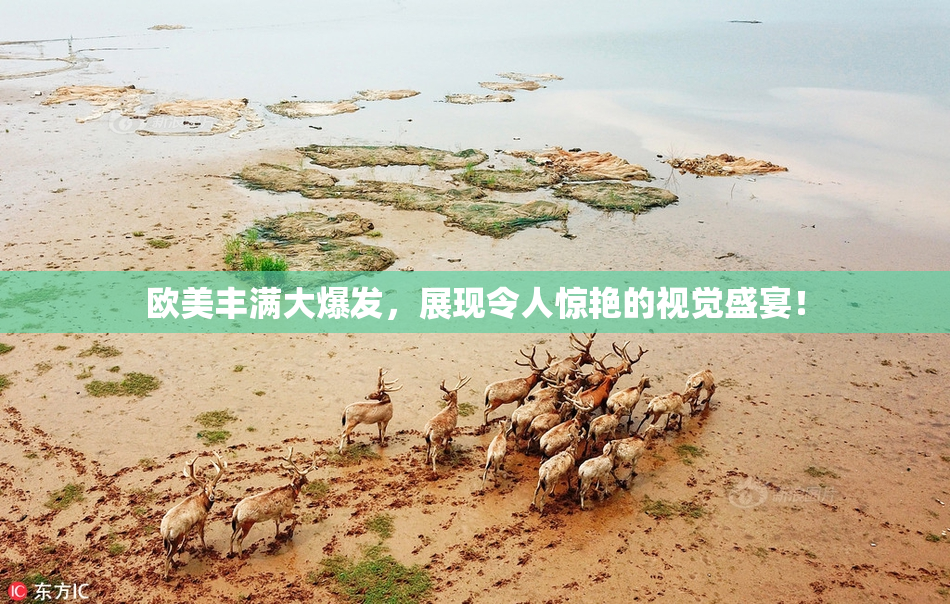 欧美丰满大爆发，展现令人惊艳的视觉盛宴！