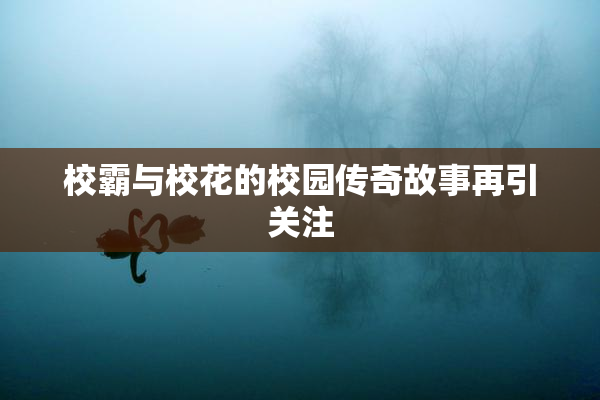 校霸与校花的校园传奇故事再引关注