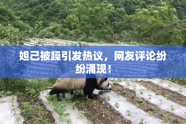 妲己被躁引发热议，网友评论纷纷涌现！