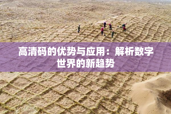 高清码的优势与应用：解析数字世界的新趋势
