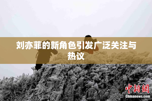 刘亦菲的新角色引发广泛关注与热议