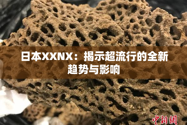 日本XXNX：揭示超流行的全新趋势与影响