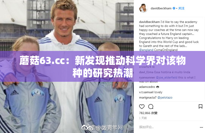 蘑菇63.㏄：新发现推动科学界对该物种的研究热潮