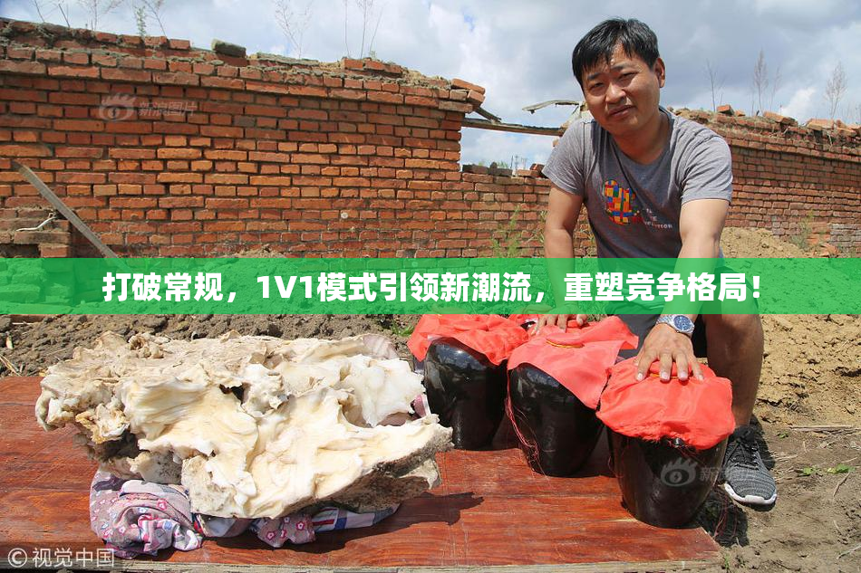 打破常规，1V1模式引领新潮流，重塑竞争格局！