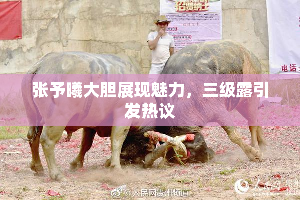 张予曦大胆展现魅力，三级露引发热议