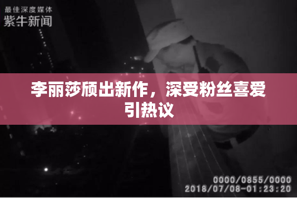 李丽莎颀出新作，深受粉丝喜爱引热议