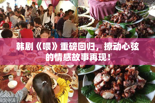 韩剧《喂》重磅回归，撩动心弦的情感故事再现！