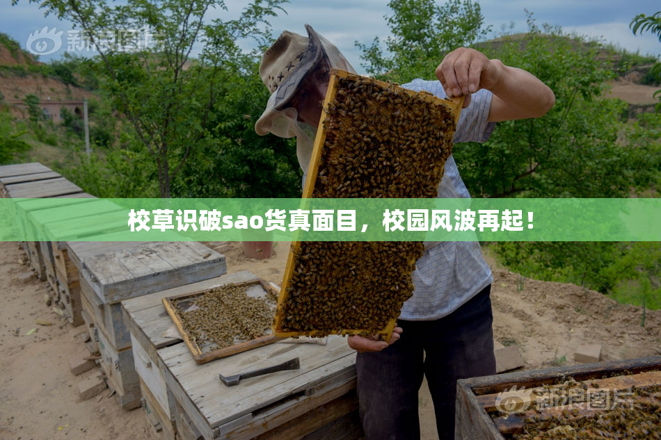校草识破sao货真面目，校园风波再起！