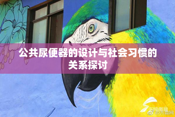 公共尿便器的设计与社会习惯的关系探讨
