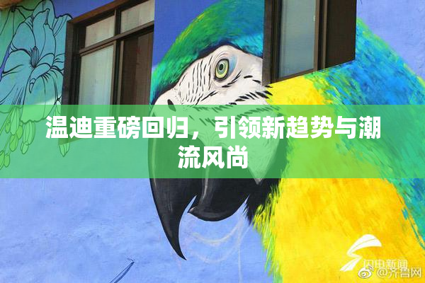 温迪重磅回归，引领新趋势与潮流风尚
