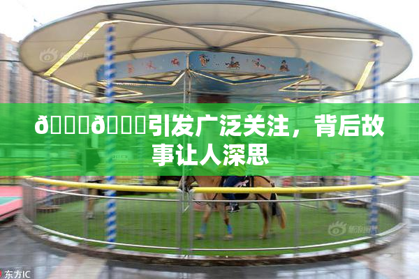 🐔🐔引发广泛关注，背后故事让人深思