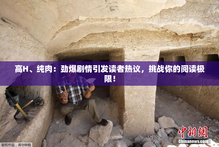 高H、纯肉：劲爆剧情引发读者热议，挑战你的阅读极限！