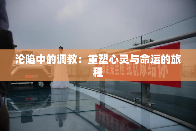 沦陷中的调教：重塑心灵与命运的旅程