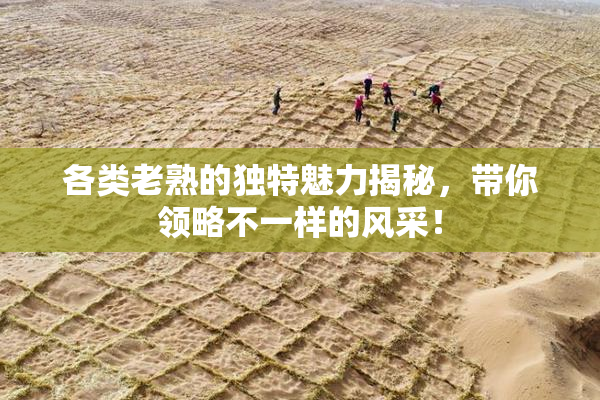 各类老熟的独特魅力揭秘，带你领略不一样的风采！
