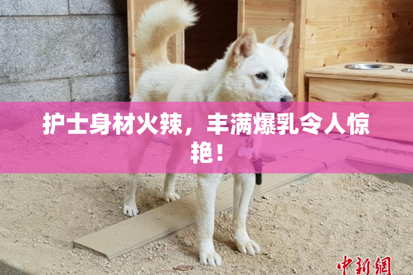 护士身材火辣，丰满爆乳令人惊艳！