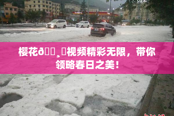 樱花🌸‌视频精彩无限，带你领略春日之美！