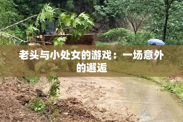 老头与小处女的游戏：一场意外的邂逅