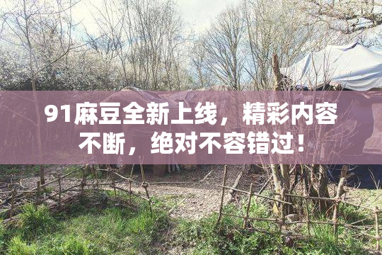 91麻豆全新上线，精彩内容不断，绝对不容错过！
