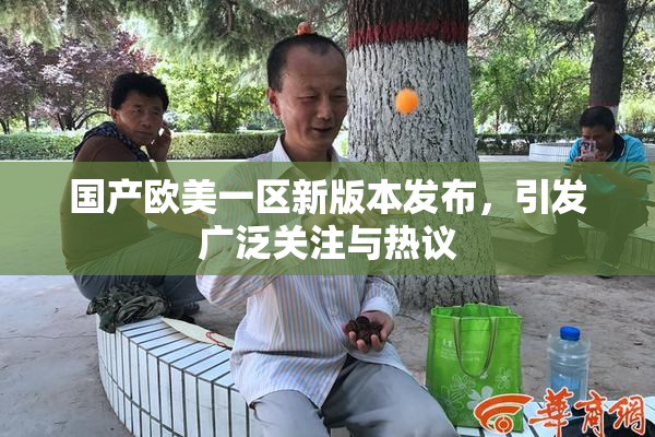 国产欧美一区新版本发布，引发广泛关注与热议