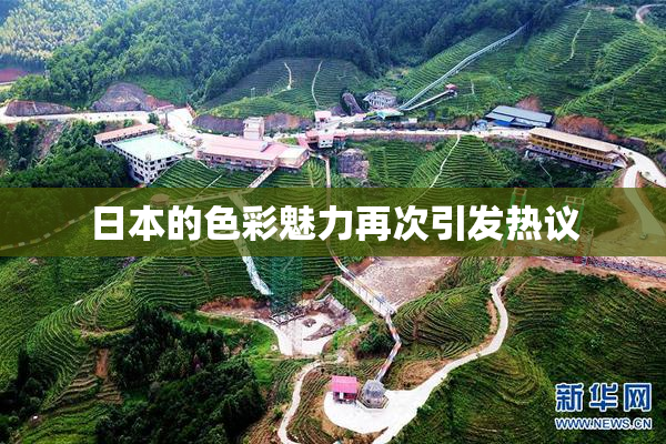 日本的色彩魅力再次引发热议