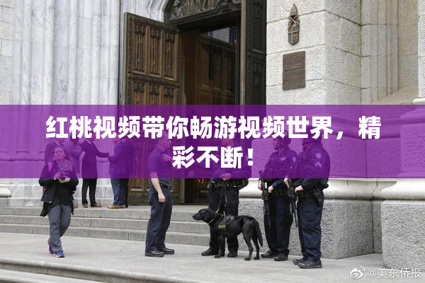 红桃视频带你畅游视频世界，精彩不断！