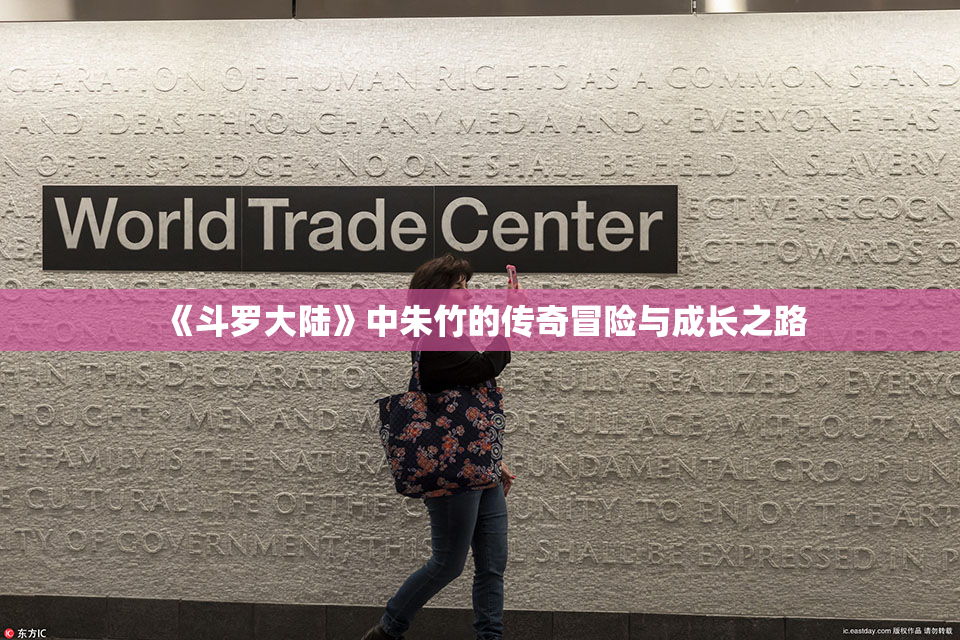 《斗罗大陆》中朱竹的传奇冒险与成长之路