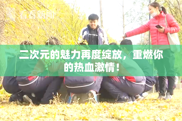 二次元的魅力再度绽放，重燃你的热血激情！