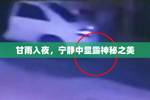 甘雨入夜，宁静中显露神秘之美