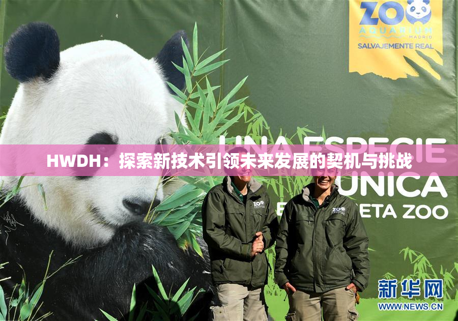 HWDH：探索新技术引领未来发展的契机与挑战