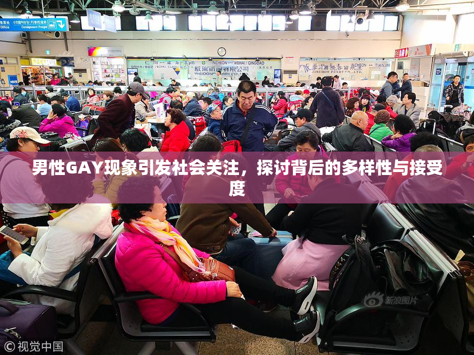 男性GAY现象引发社会关注，探讨背后的多样性与接受度