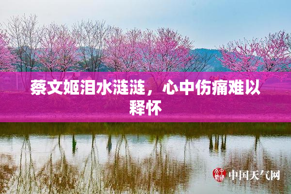 蔡文姬泪水涟涟，心中伤痛难以释怀