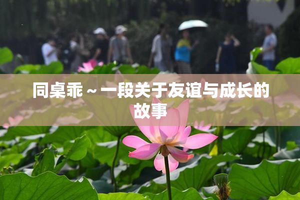 同桌乖～一段关于友谊与成长的故事