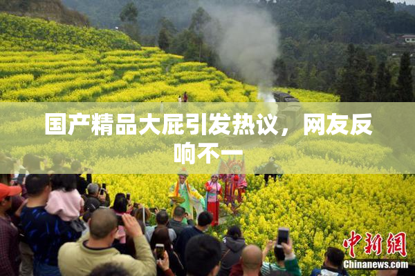 国产精品大屁引发热议，网友反响不一
