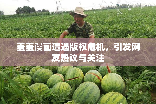 羞羞漫画遭遇版权危机，引发网友热议与关注