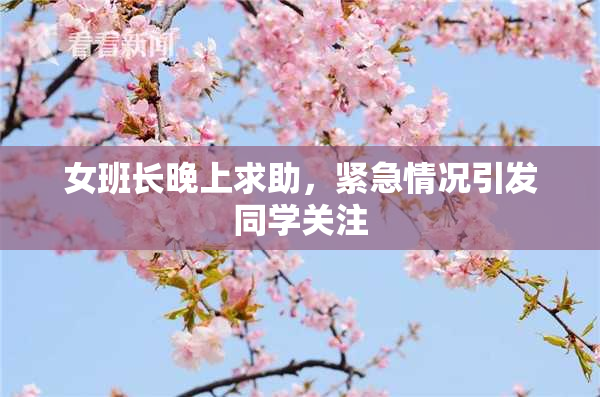 女班长晚上求助，紧急情况引发同学关注