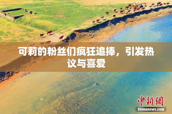 可莉的粉丝们疯狂追捧，引发热议与喜爱