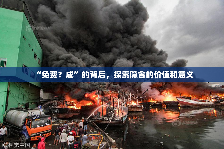 “免费？成”的背后，探索隐含的价值和意义