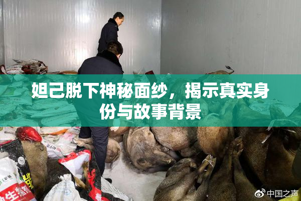 妲己脱下神秘面纱，揭示真实身份与故事背景