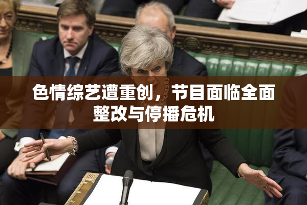 色情综艺遭重创，节目面临全面整改与停播危机