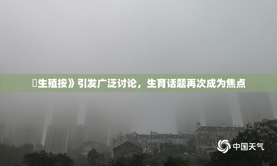 巜生殖按》引发广泛讨论，生育话题再次成为焦点
