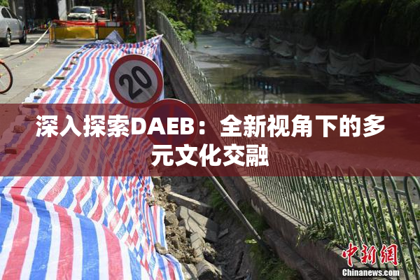深入探索DAEB：全新视角下的多元文化交融