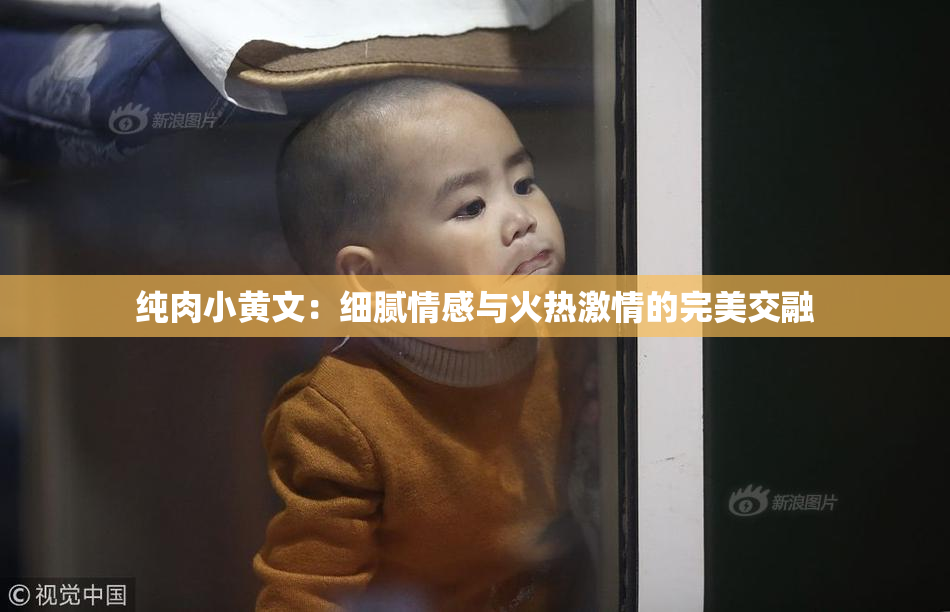 纯肉小黄文：细腻情感与火热激情的完美交融