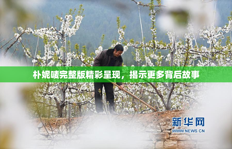 朴妮唛完整版精彩呈现，揭示更多背后故事