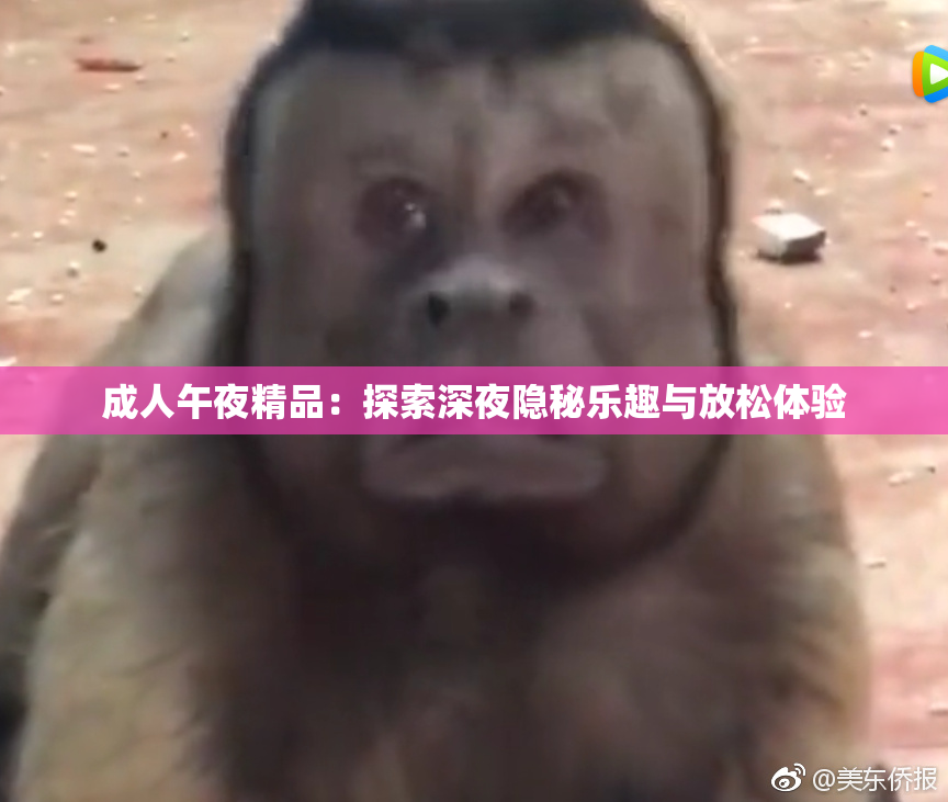 成人午夜精品：探索深夜隐秘乐趣与放松体验