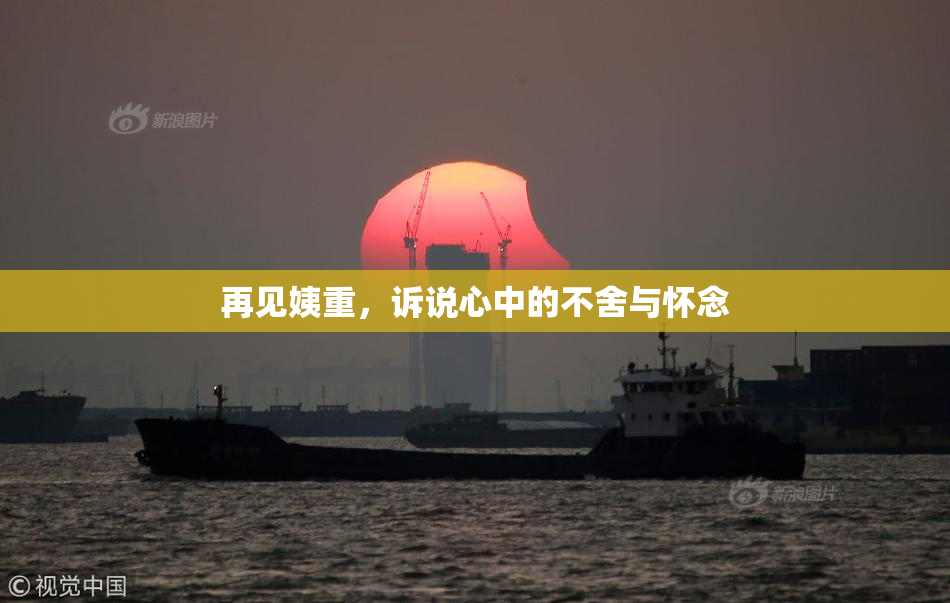 再见姨重，诉说心中的不舍与怀念