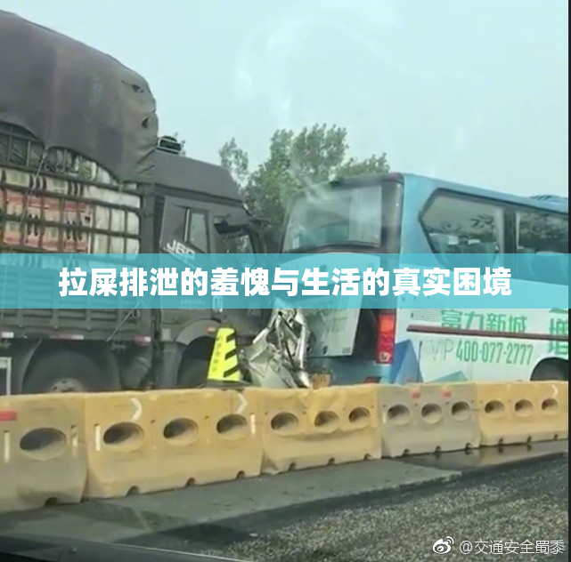 拉屎排泄的羞愧与生活的真实困境