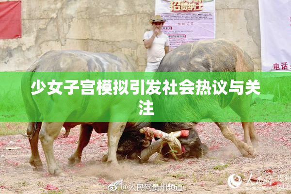 少女子宫模拟引发社会热议与关注