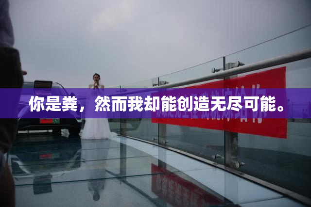 你是粪，然而我却能创造无尽可能。