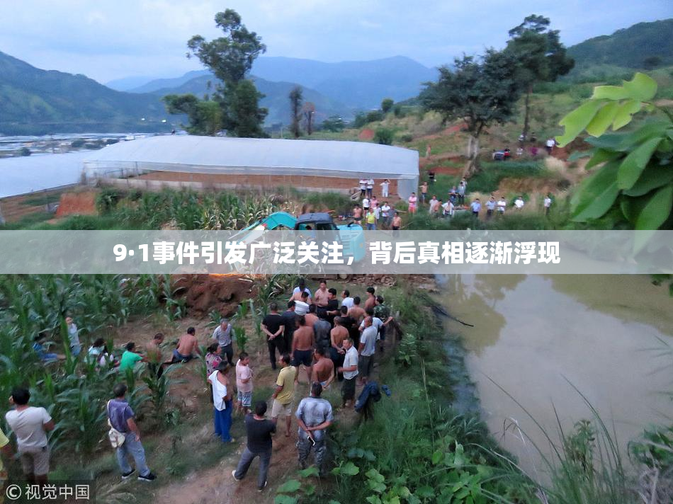 9·1事件引发广泛关注，背后真相逐渐浮现